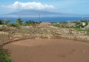 Development Gallery